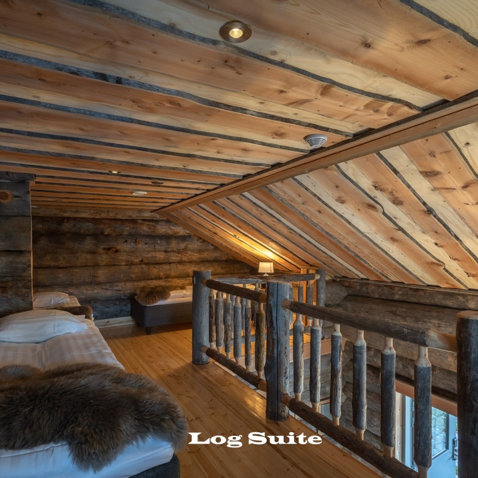 Log Suite Loft